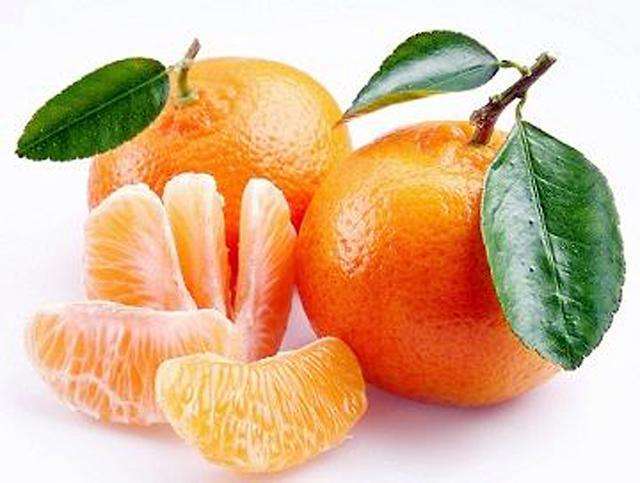 种柑橘这4个问题你必须知道！(图2)